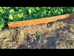 1SGS 000mm * 1.6mm * 100mm Viền thép Corten mạ kẽm Viền Corten Lawn